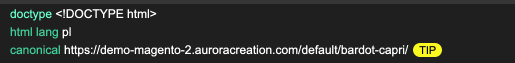 Doctype, html lang and canonical tag in Magento.