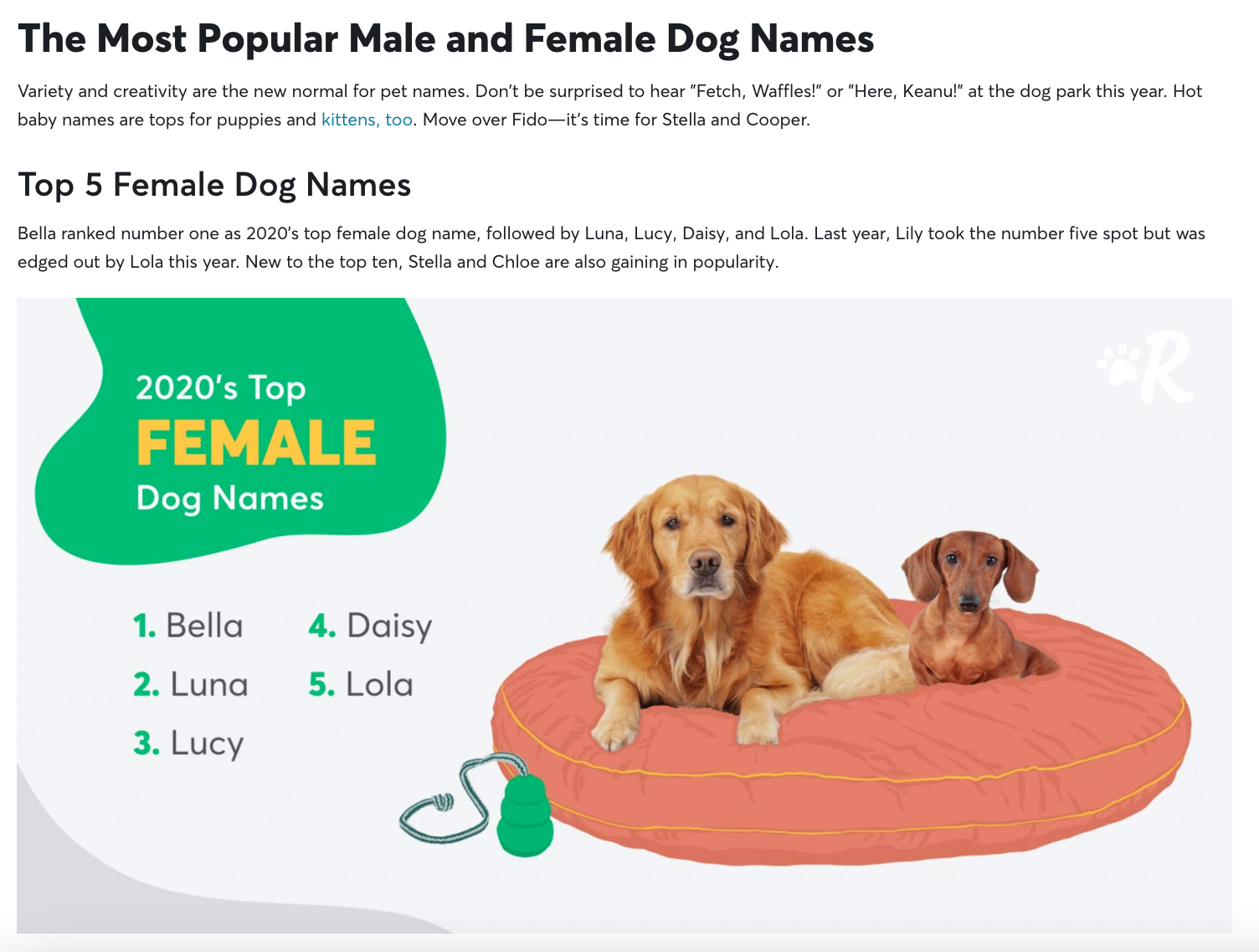 Graphic showing 2020's top female dog names.