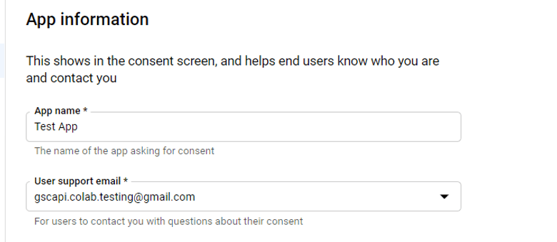 App information window for the consent screen.