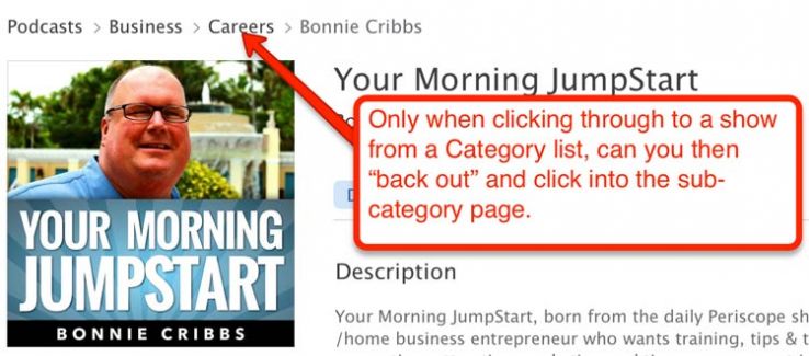 Subcategory lists in iTunes.